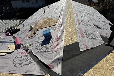 Roof Repair